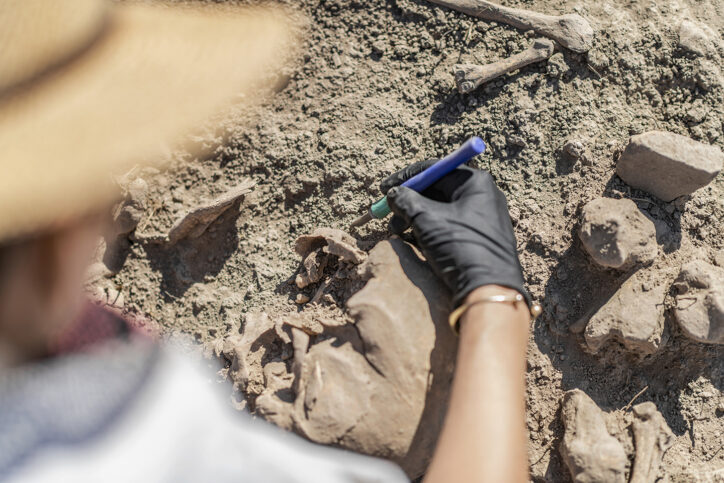 archeologist working on an excavation