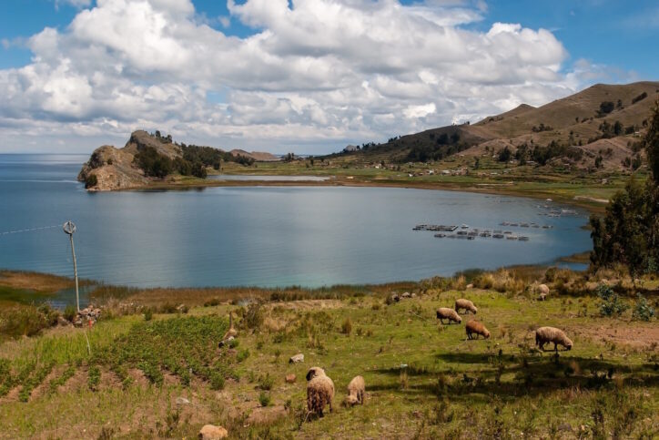 A scenic view of the nature of South America