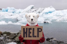 Activist on Polar bear mask with a message to mankind about global warming