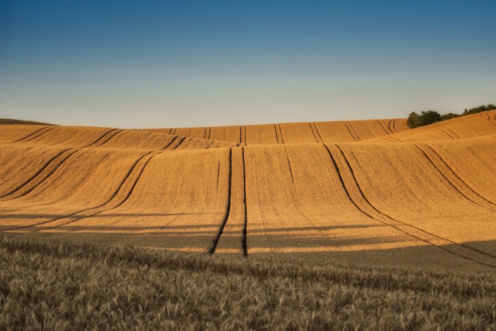 Earth waves background in South Moravia