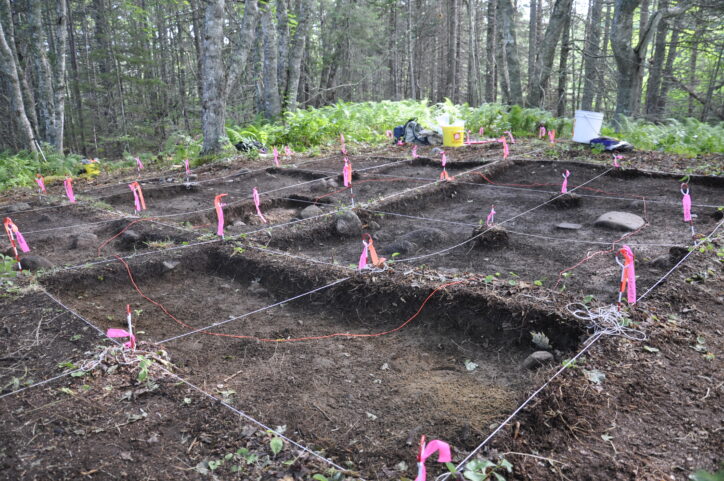 Grid Archaeological Dig