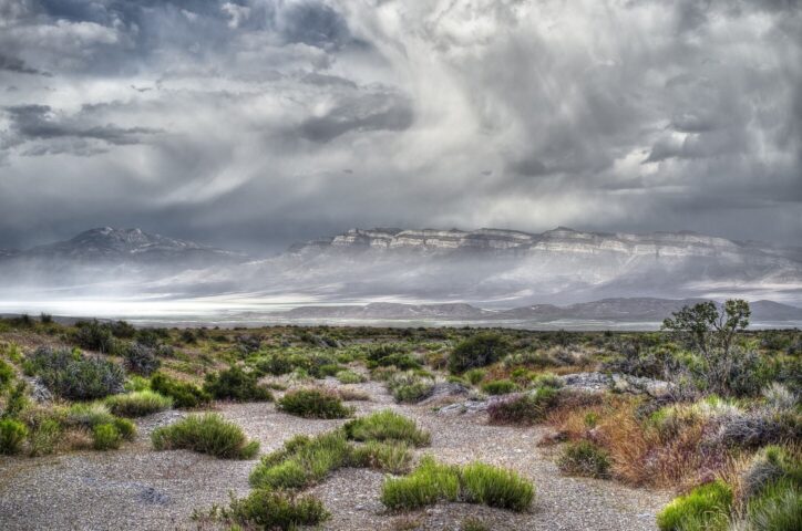 Great basin desert