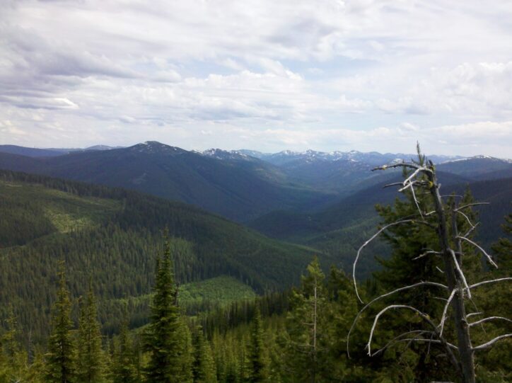 Idaho Panhandle national forest