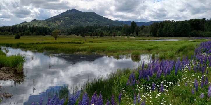 Pend Oreille wetlands