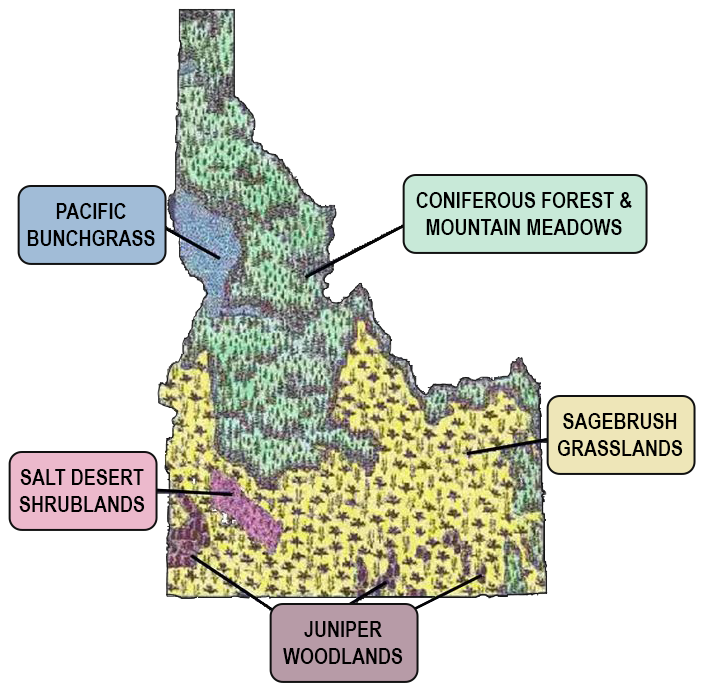 Diagram of the different eco systems in Idaho