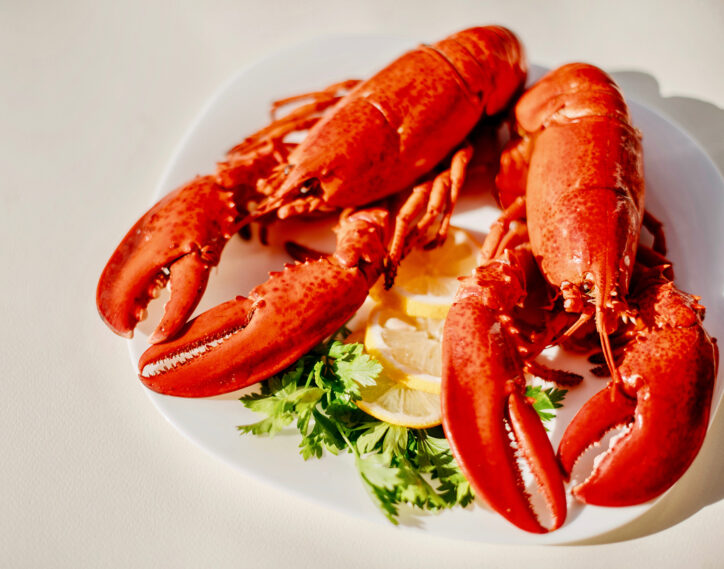 Photo of a plate of cooked lobster