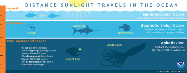 Diagram of the distance sunlight travels in the ocean