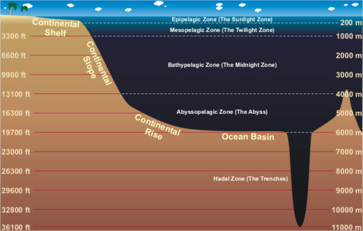 Diagram of showing the layers of the ocean