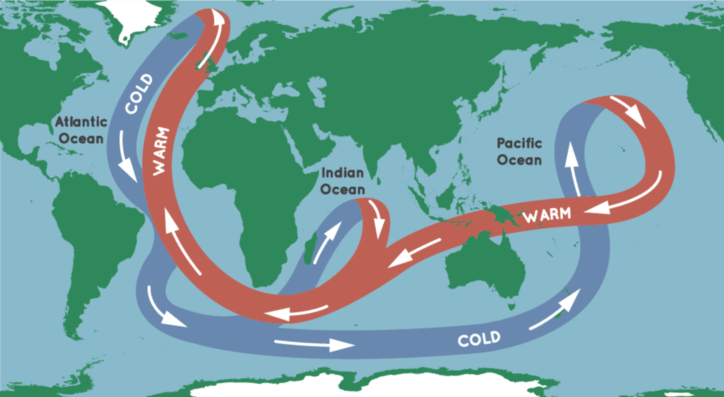 Diagram of the ocean conveyer belt