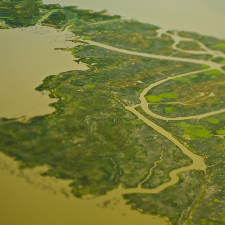 Aerial View of a Flood Plain