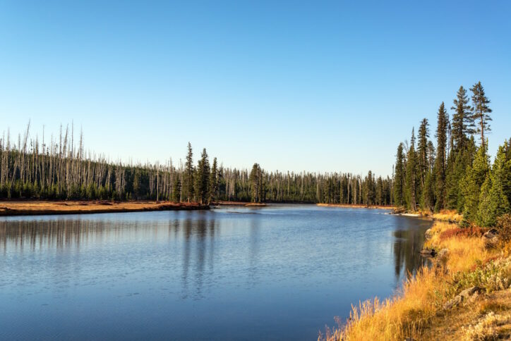 Snake river landscape