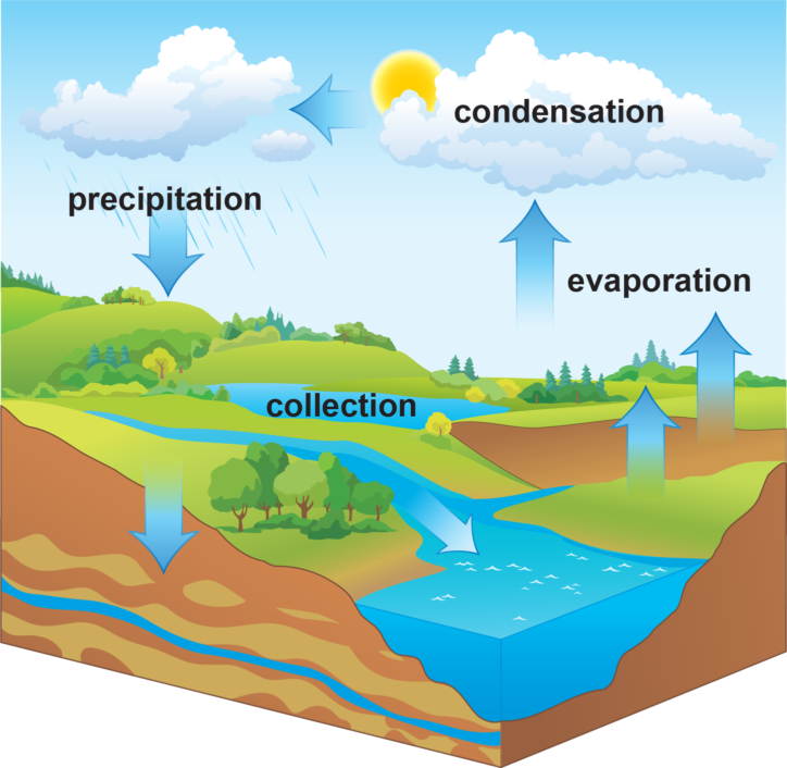 Diagram of the the water cycle