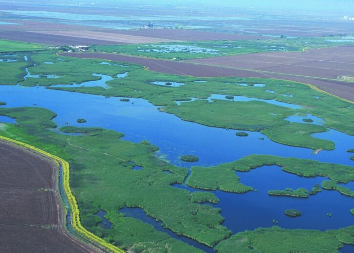 Wetland loss